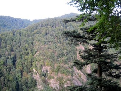 Blick über das Höllental