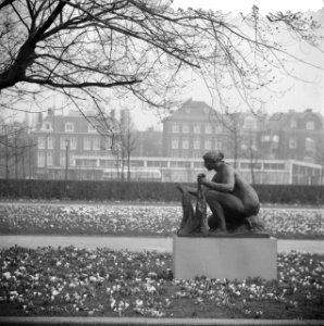 Bloemen en zonnen in Amsterdam, Bestanddeelnr 912-1966