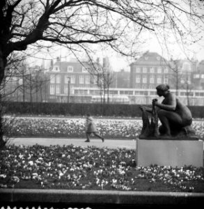 Bloemen en zonnen in Amsterdam, Bestanddeelnr 912-1967