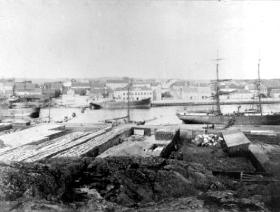 Blm 88 86 6