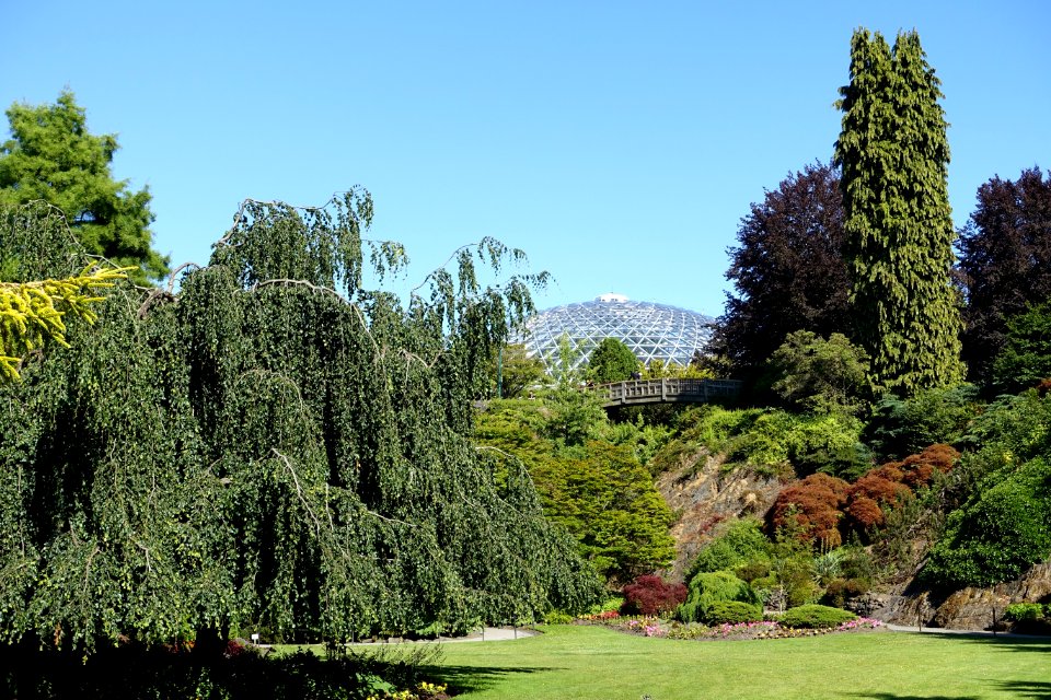 Bloedel Floral Conservatory, Queen Elizabeth Park - Vancouver, Canada - DSC07609