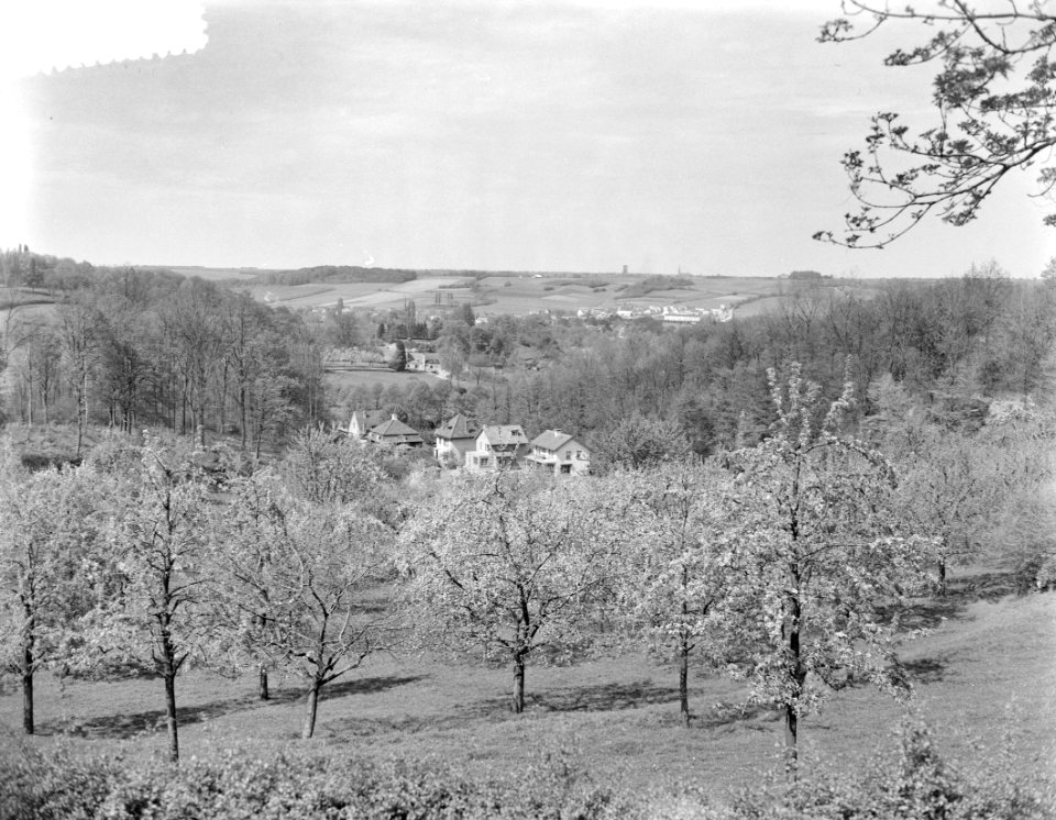 Bloeiende boomgaard, Bestanddeelnr 907-1260