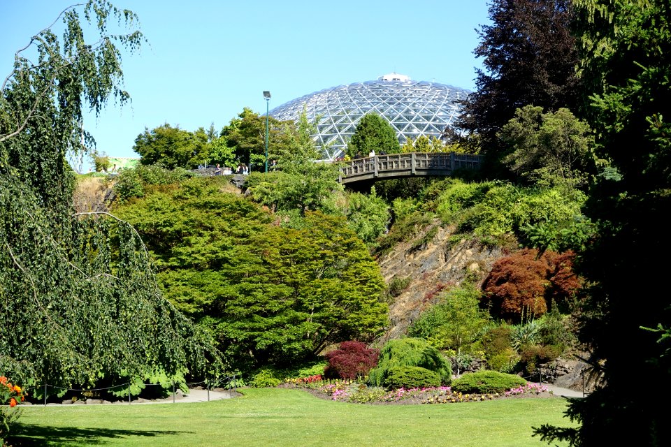 Bloedel Floral Conservatory, Queen Elizabeth Park - Vancouver, Canada - DSC07618