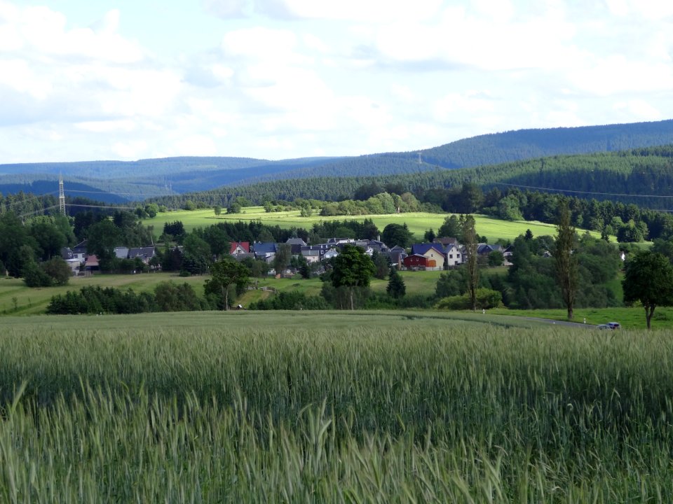Blick auf Böhlen von Nordwesten
