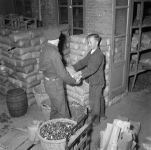 Bloembollencultuur, Bestanddeelnr 900-5574