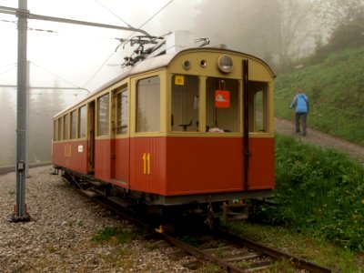 BLM 11 in the fog