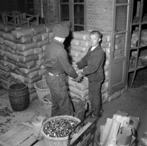 Bloembollencultuur, Bestanddeelnr 900-5565
