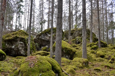 Block - Himlingeskogen