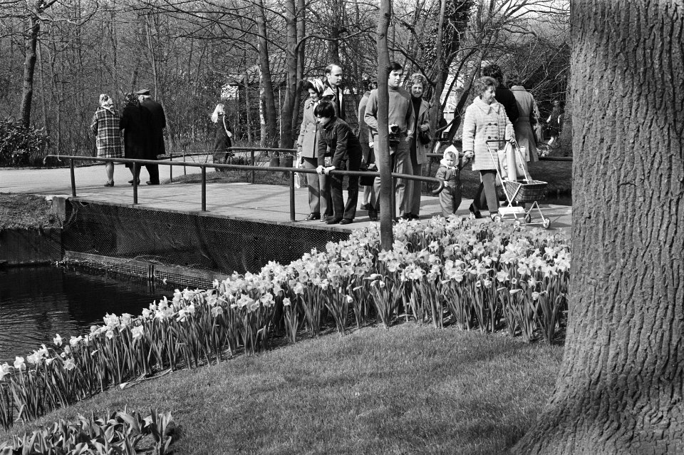 Bloemen, tentoonstellingen, Bestanddeelnr 924-4436
