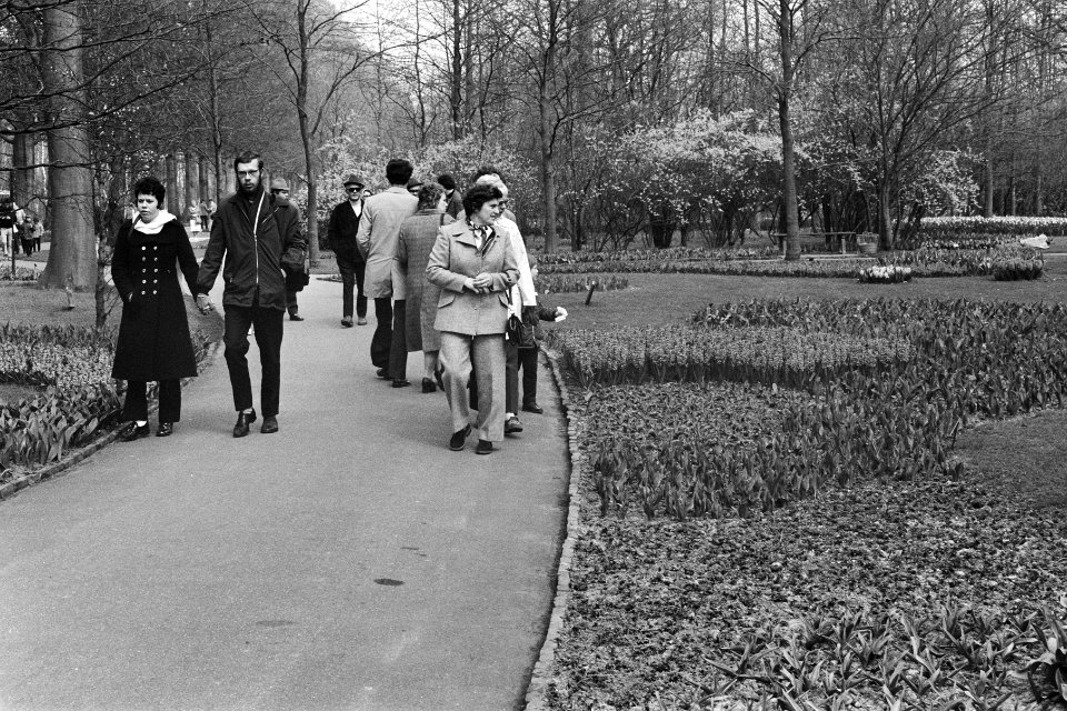 Bloemen, tentoonstellingen, Bestanddeelnr 924-4437
