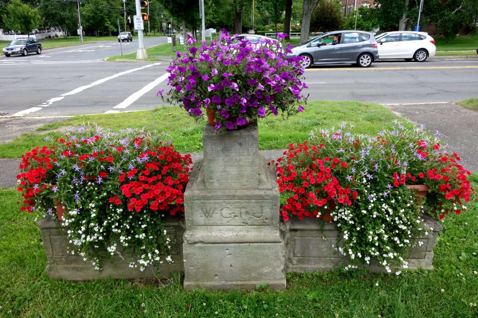 Blessed are the Merciful, WCTU, back - Hadley, Massachusetts - DSC07603