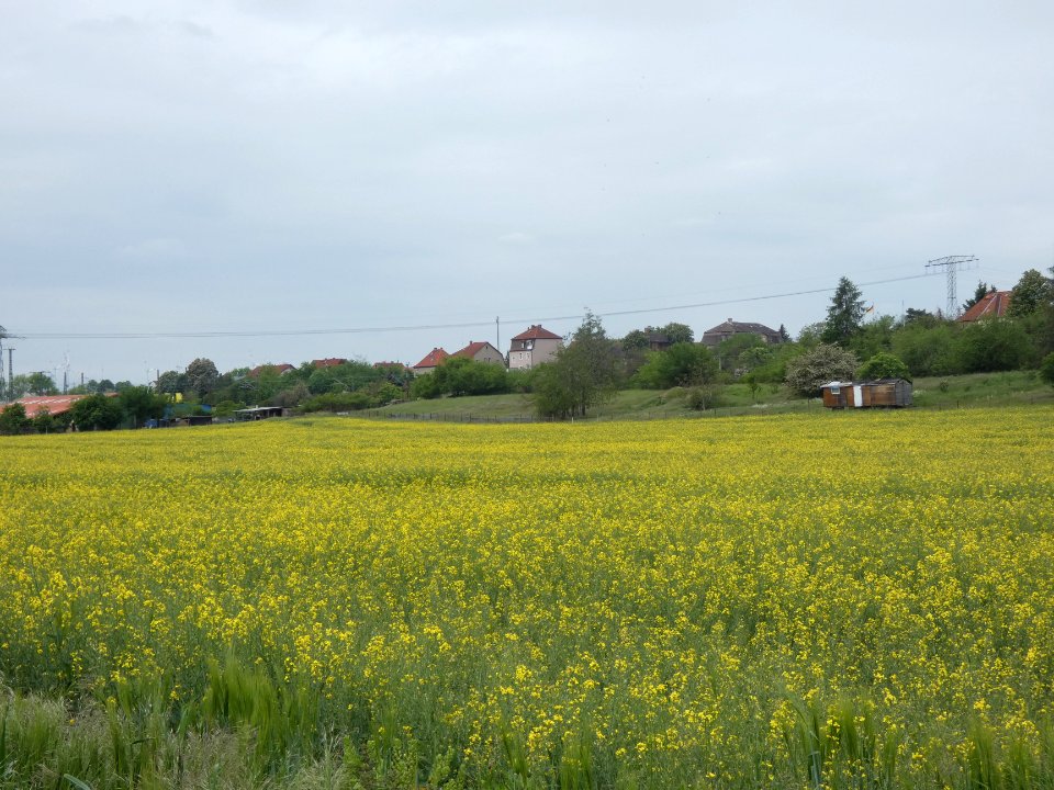 Blick Angersdorf