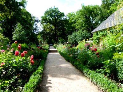 Blick auf die Lindenhochhecke und den Nutzgarten von der Liebermann Villa