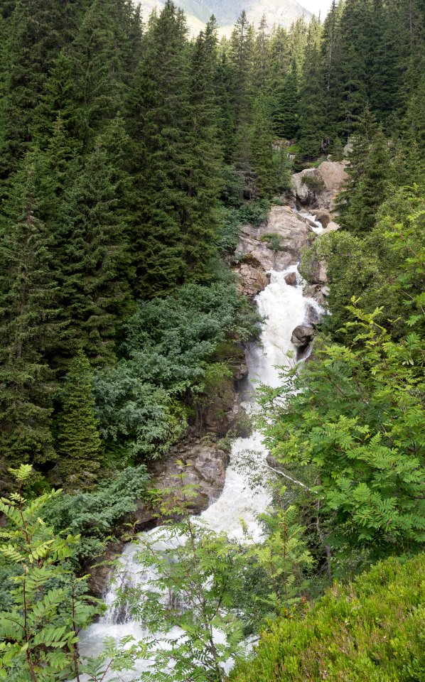 Blick auf die Burkhardsklamm