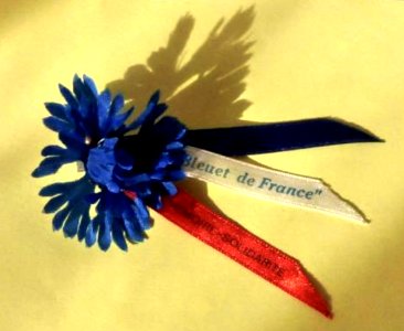 Bleuet de France circa 1950