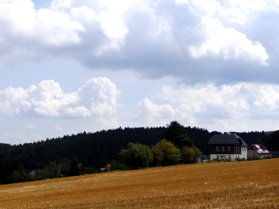 Blick auf Birkenheide, Saalfelder Höhe