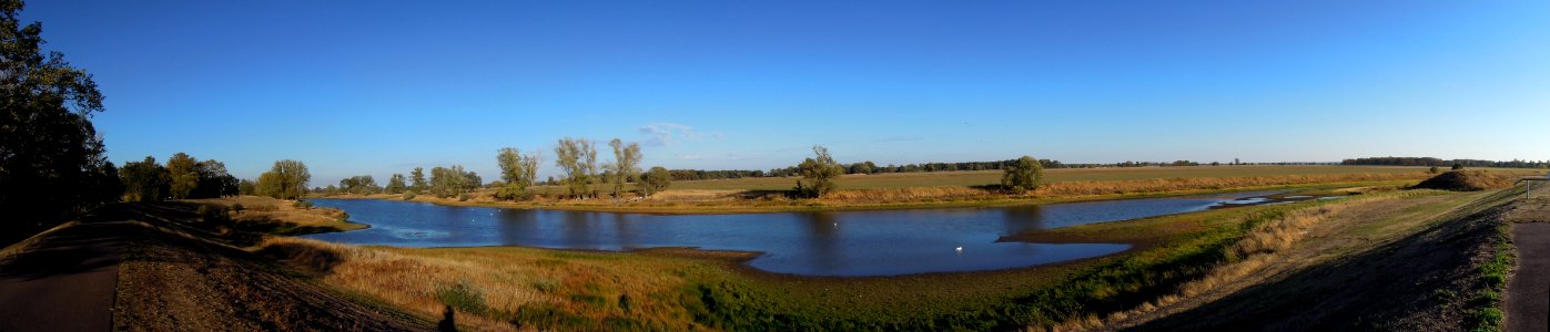 Bleddiner Riß linksufrig der Elbe bei Wartenburg -Panorama- Ende September 2018