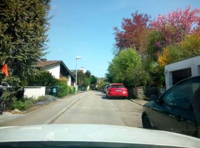 Blick aus einem Auto auf die Straße Am Unteren Herrlesberg in Tübingen