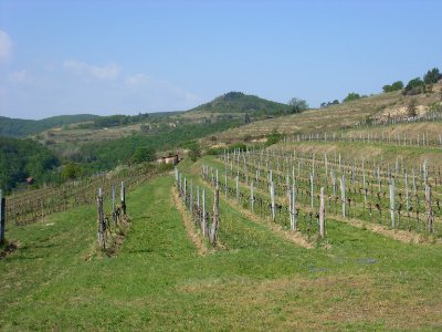 Blick auf den Braunsdorfer Berg
