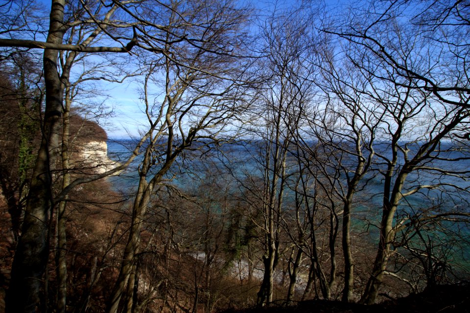 Blick durch Bäume am Gakower Hochufer (Sassnitz, Rügen) 2