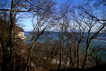 Blick durch Bäume am Gakower Hochufer (Sassnitz, Rügen) 2
