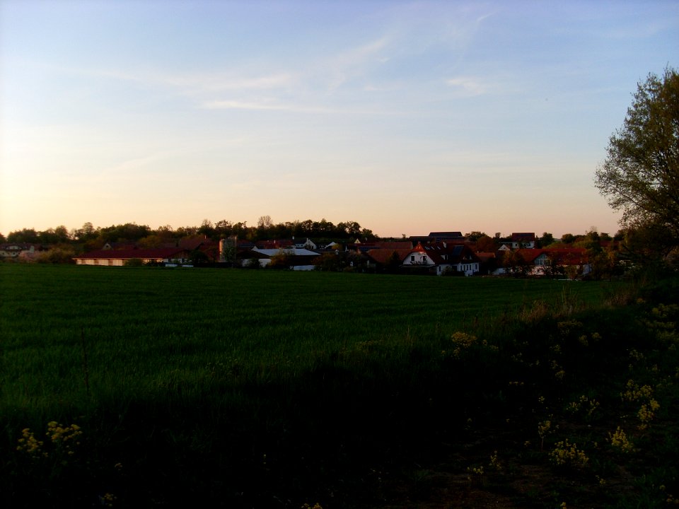 Blick auf Wanzenau
