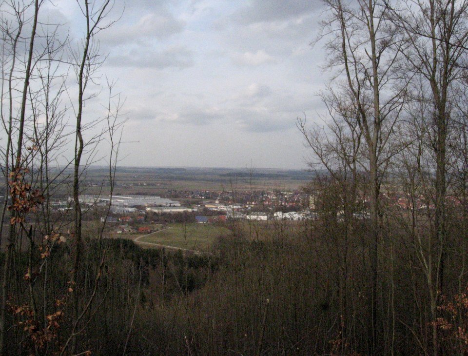 Blick vom Hehlberg auf Sulzdorf