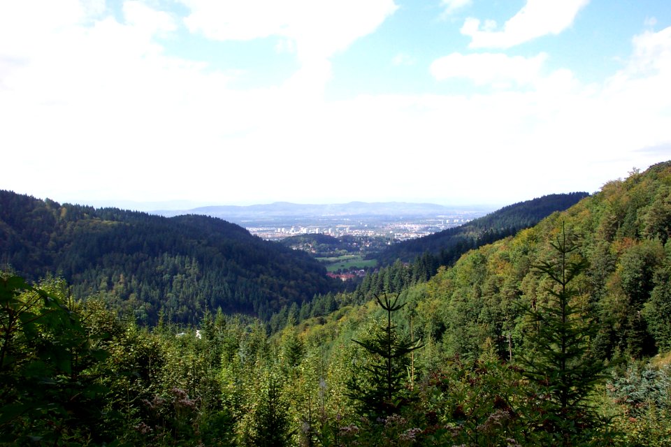 Blick auf Freiburg 3