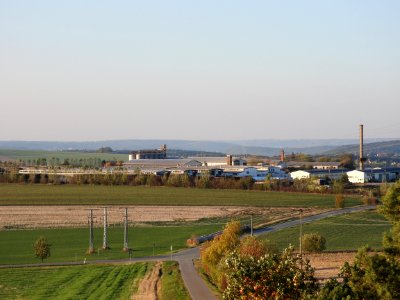 Blick Aussichtsturm Kreuztanne