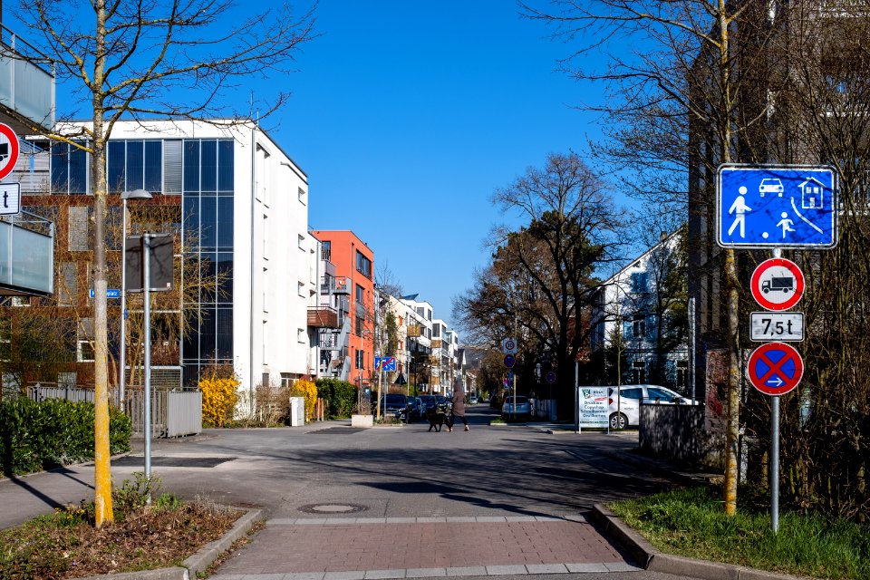 Blick entlang der Paul-Dietz-Straße in Tübingen Richtung Norden