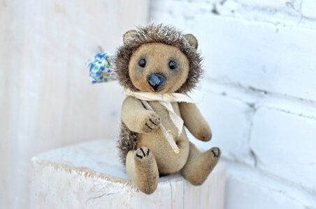Hedgehog their hands creativity