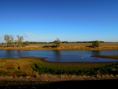Bleddiner Riß linksufrig der Elbe bei Wartenburg Ende September 2018d