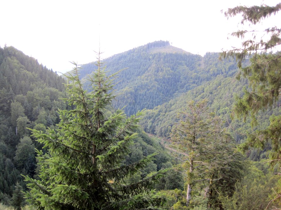 Blick in das Höllental