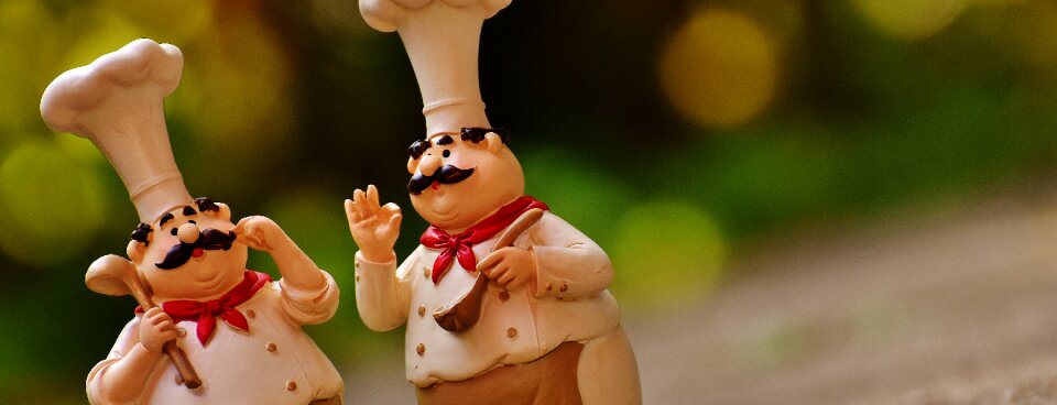 Cook gastronomy restaurant
