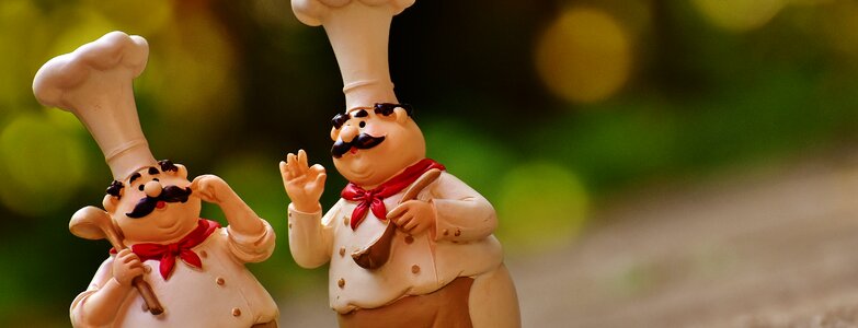 Cook gastronomy restaurant