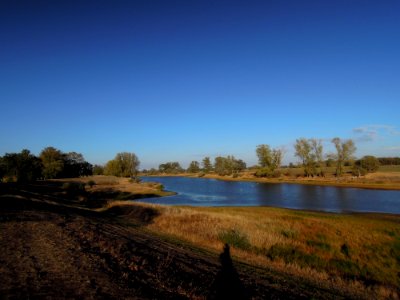 Bleddiner Riß linksufrig der Elbe bei Wartenburg Ende September 2018b