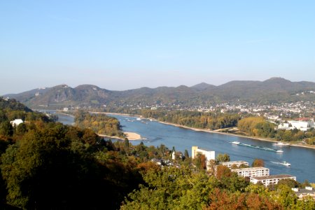 Blick vom Aussichtsturm des Wildpark Rolandseck