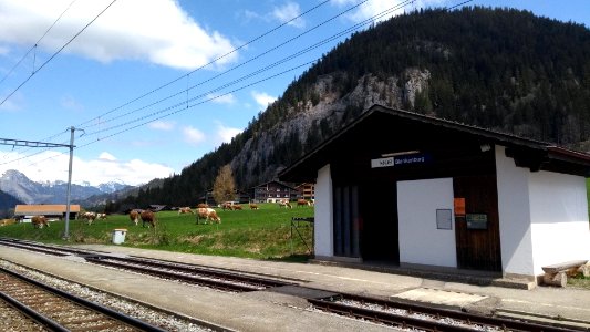 Blankenburg railway station
