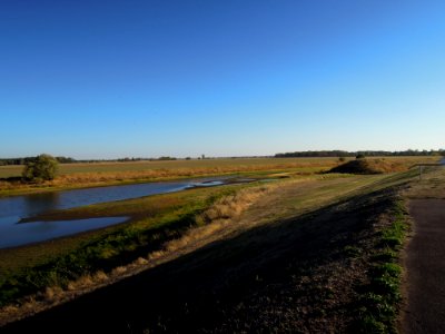 Bleddiner Riß linksufrig der Elbe bei Wartenburg Ende September 2018f
