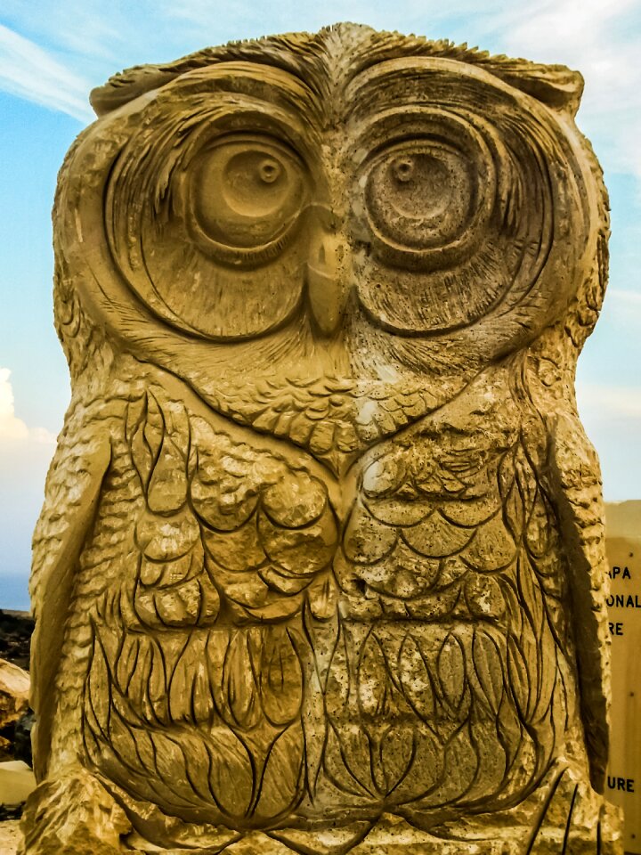 Owl wisdom brown owl