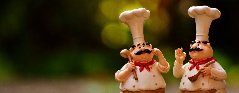 Cook gastronomy restaurant
