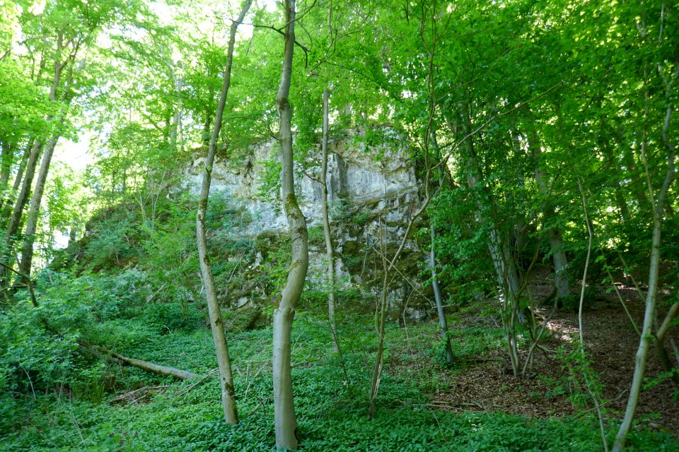 Bleiwäsche - Massenkalkklippen