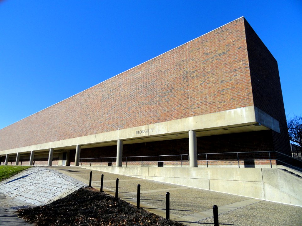 Blodgett Pool - Harvard University - DSC02979