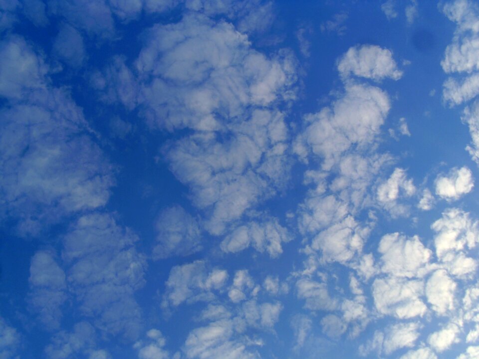 Weather color high