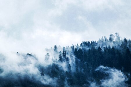 Mountain woods cloud photo