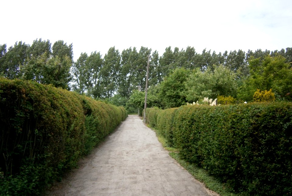Blankenfelde Alsaceweg Nord 33 52.602656573036086-13.406152725219727