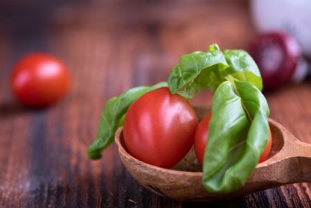 Basil green spice