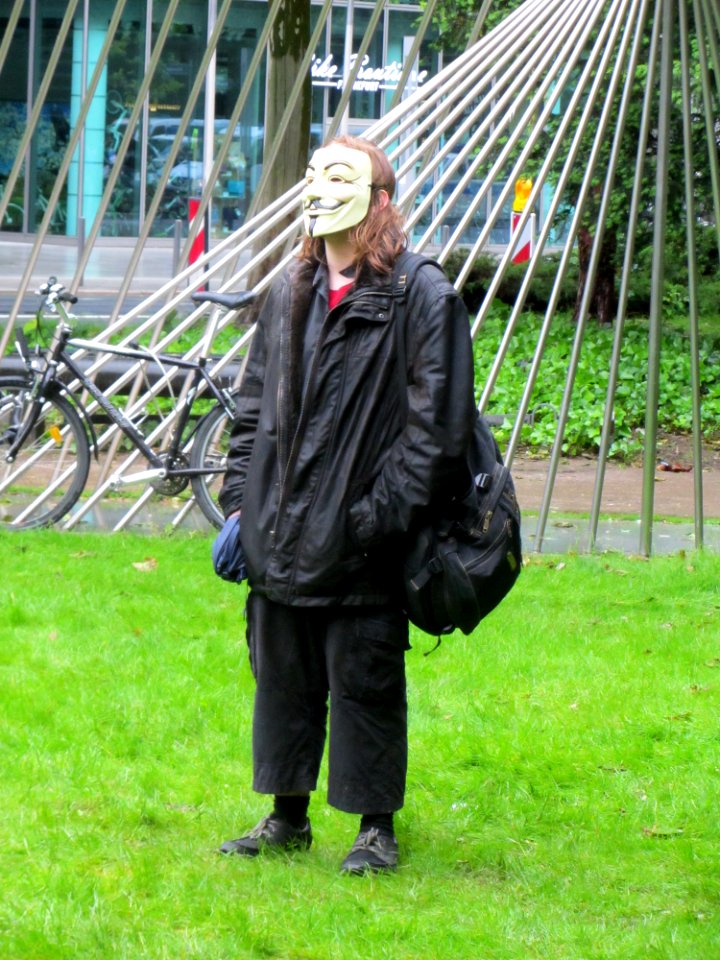 Blockupy 2013 Demonstrant Guy Fawkes