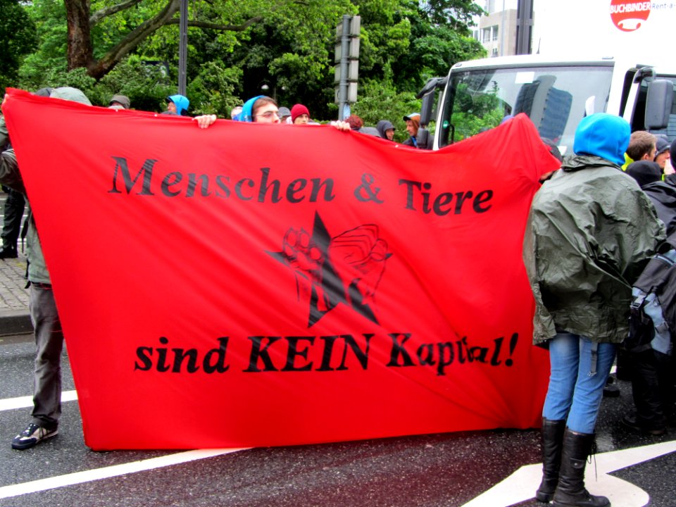 Blockupy 2013 Deutsche Bank3