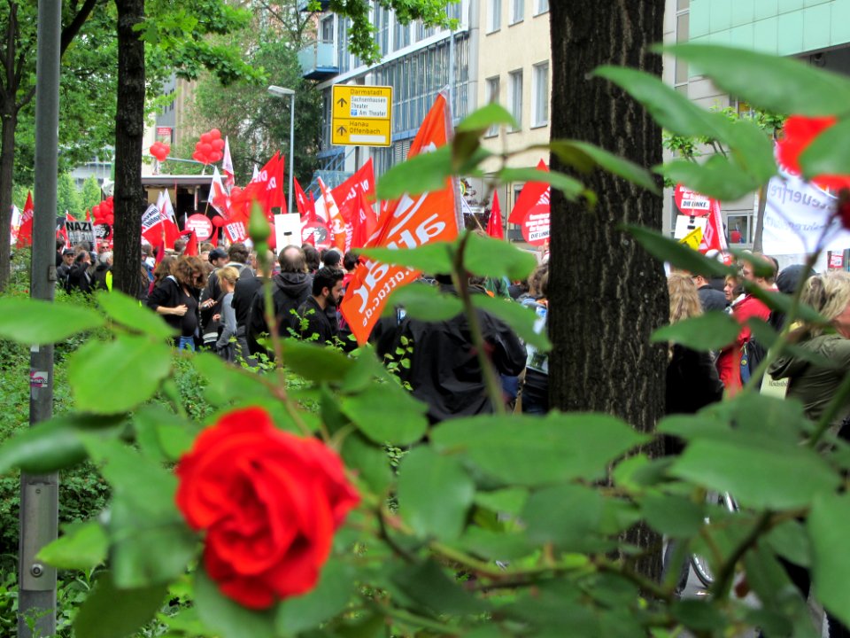 Blockupy 2013 Demonstranten2